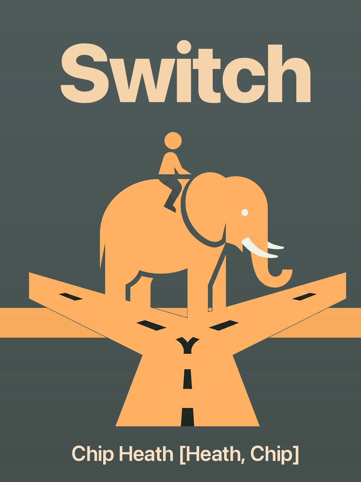Switch cover